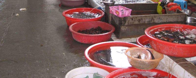 水產生意有多暴利，水產生意一月能賺多少