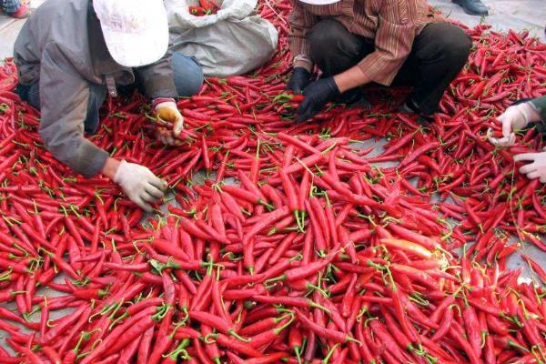 農(nóng)村代加工好項目，介紹幾個農(nóng)村小型加工廠項目