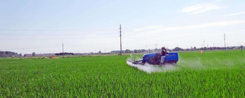 東北農村創業項目有哪些，東北農村做什么生意賺錢