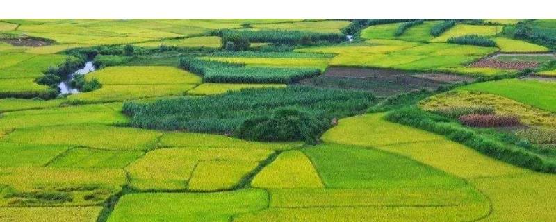 農村現在能做什么生意，農村5萬以內創(chuàng)業(yè)項目