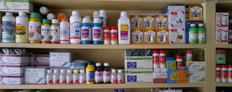 大氣一點的農資店名，開個農資店需要什么手續