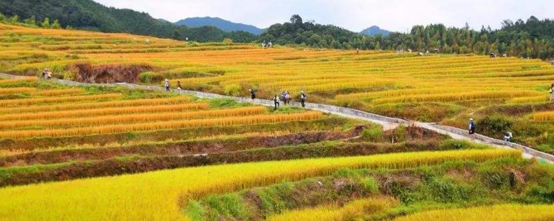 農(nóng)村賣化肥一年收入，需要什么手續(xù)，賺錢嗎？