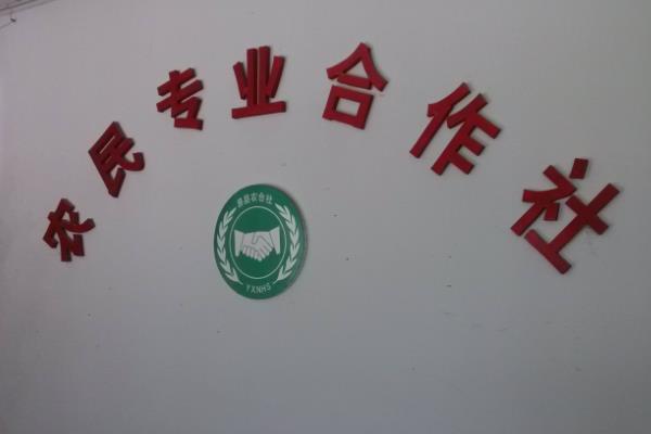 多少畝地能成立合作社,開合作社需要多少資金