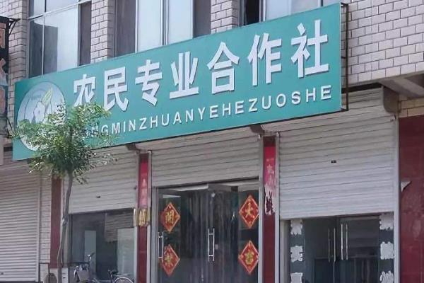 多少畝地能成立合作社,開合作社需要多少資金