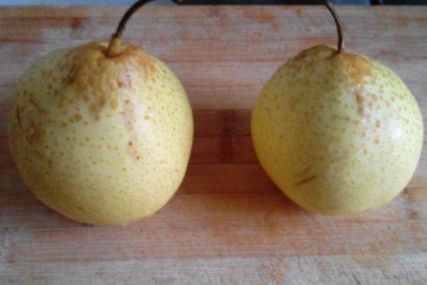 梨壞了一部分還能吃嗎?蒸熟還能吃嗎