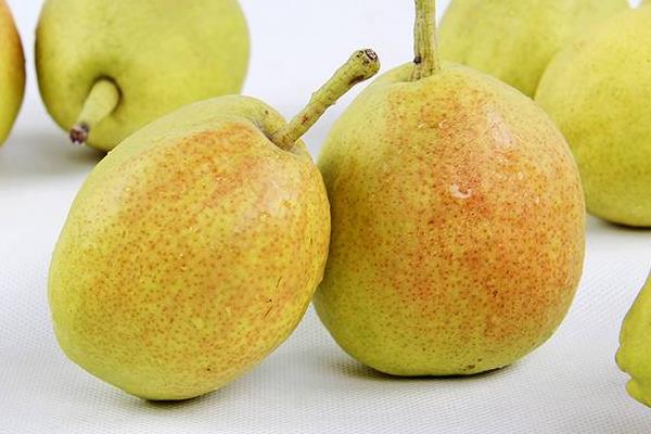 梨壞了一部分還能吃嗎?蒸熟還能吃嗎