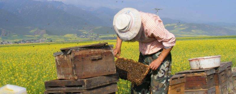 多少畝地能成立合作社，開合作社需要多少資金