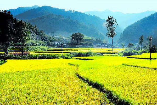 農村合作社靠什么盈利,農村合作社是什么性質