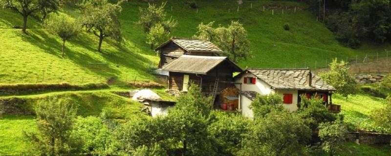 在農村開什么店掙錢（投資小利潤高）