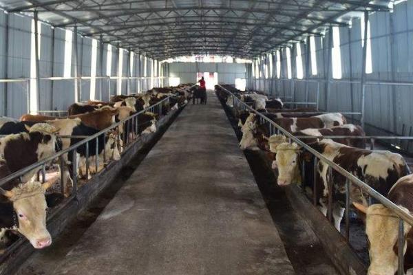 好聽招財的養殖場名字，寓意養殖場紅火的名字，好聽又霸氣的養殖名字