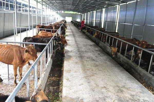 好聽招財的養殖場名字，寓意養殖場紅火的名字，好聽又霸氣的養殖名字