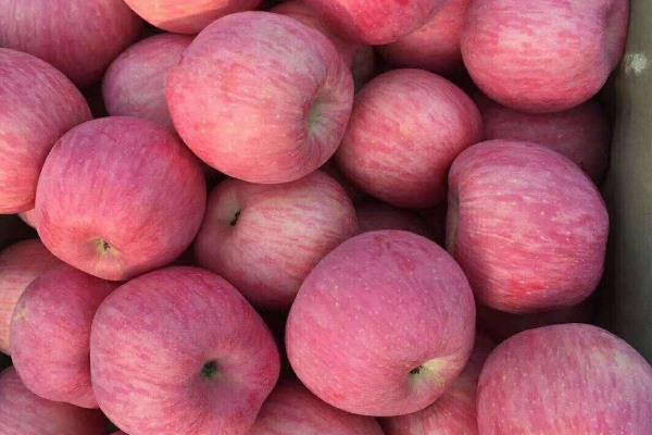 蘋果里面發霉了還能吃嗎，如果外面果子是好的能吃嗎？