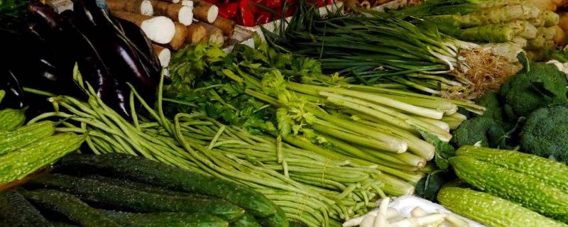 賣菜掙錢嗎？賣菜的利潤大概在多少？賣菜一天2千元能掙多少？