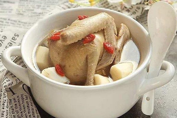 鴿子不能和什么水果一起吃？不能和什么食物吃？