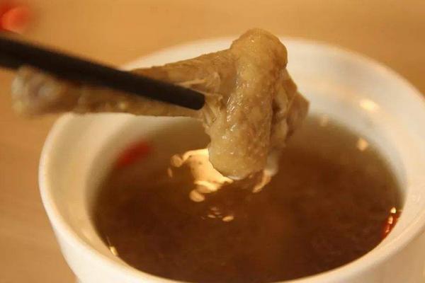 鴿子不能和什么水果一起吃？不能和什么食物吃？