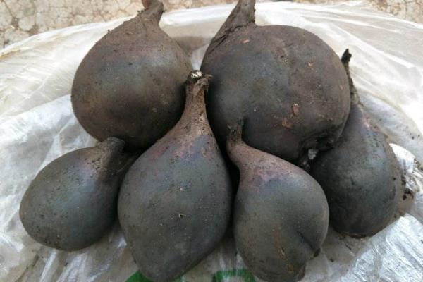 烏靈參多少一斤,怎么吃?附功效與作用