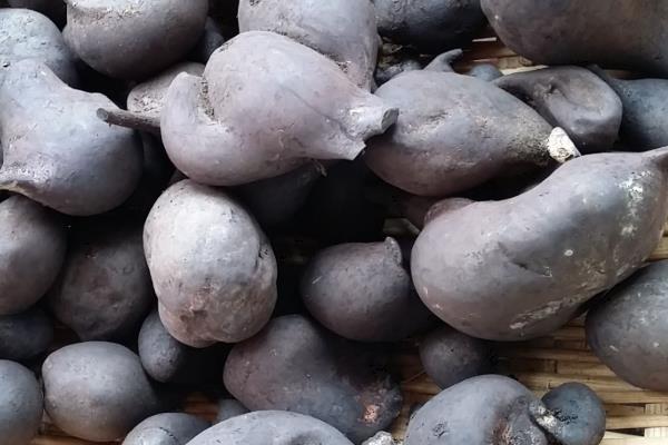 烏靈參多少一斤,怎么吃?附功效與作用