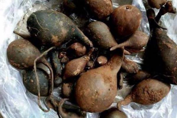 烏靈參多少一斤,怎么吃?附功效與作用