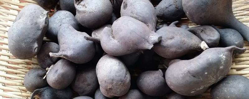 烏靈參多少一斤,怎么吃?附功效與作用