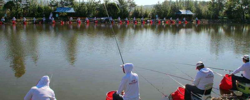 黑坑是什么意思，黑坑釣魚技巧