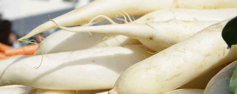 蘿卜糠了還怎么能吃嗎？怎么補(bǔ)救？還能曬干嗎？