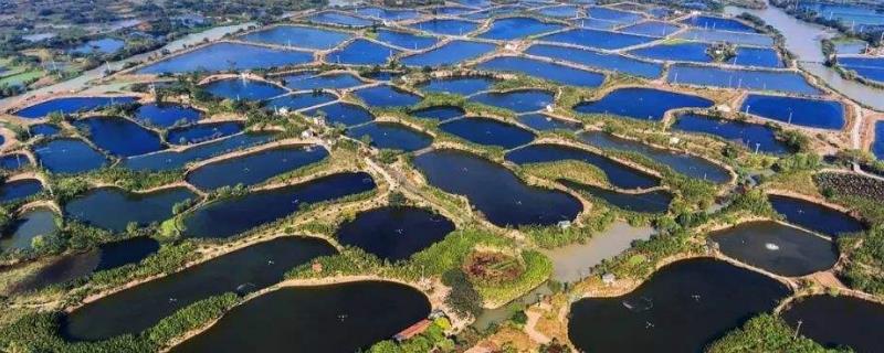 新魚塘最土防漏水方法,新魚塘用什么消毒?要注意什么?