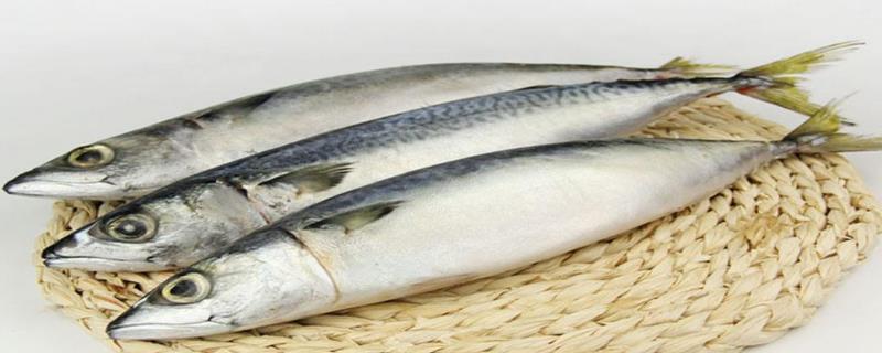 鮐鲅魚怎么解毒？怎么做好吃？