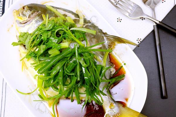 黃骨魚養殖風險大嗎?附養殖條件及技術和成本