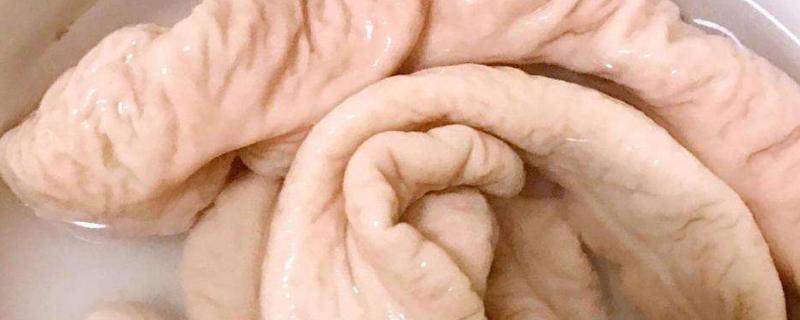 用什么洗豬腸子最干凈，豬腸怎么去除臭味