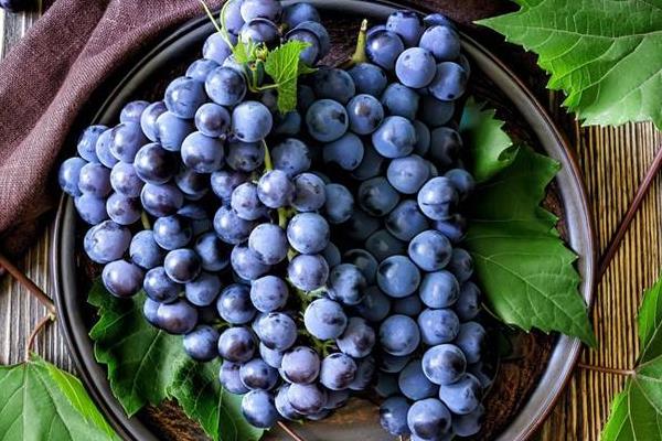 葡萄長毛了還能吃嗎?怎么處理?
