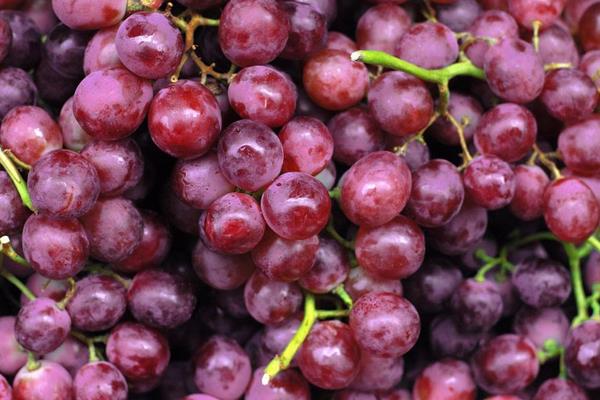 葡萄長毛了還能吃嗎?怎么處理?