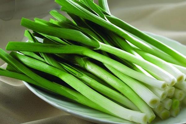 蒜苗的高度18天記錄（含10天、14天）