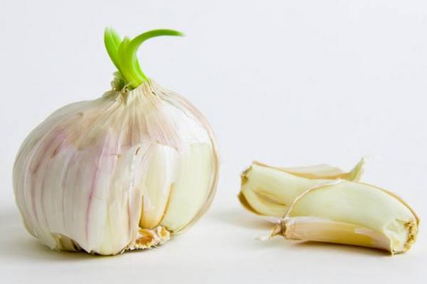 蒜長芽了還能生吃嗎?還能用醋泡嗎?