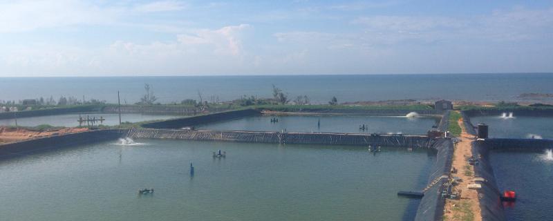 水產養殖對聯有哪些，經典七字對聯及橫批推薦