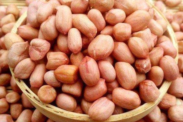 花生放了二年還能吃嗎,生芽了還能生吃嗎