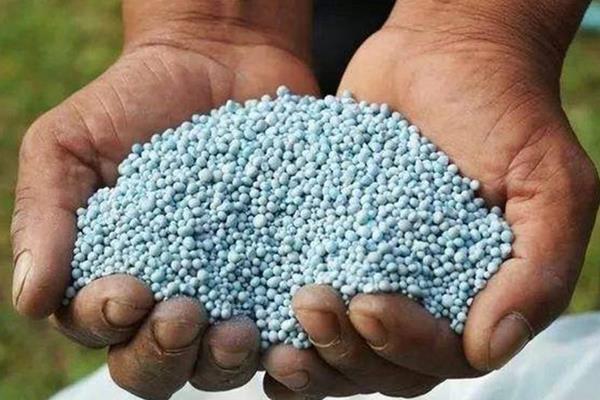 中國化肥十佳品牌