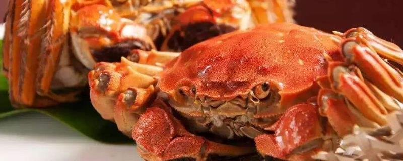 大閘蟹蟹黃黑色能吃嗎？是怎么回事？
