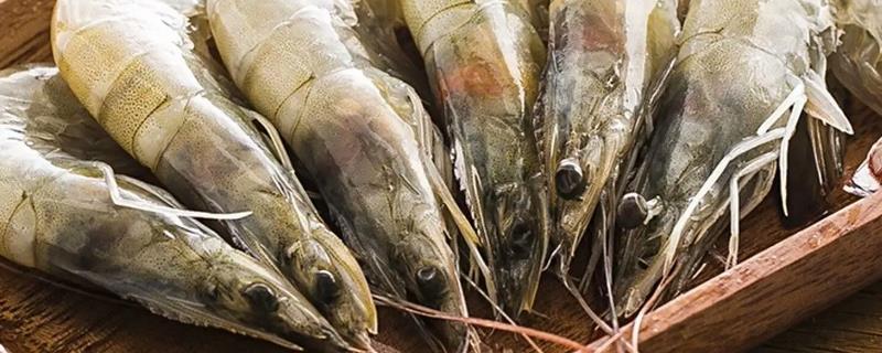 厄瓜多爾白蝦四大品牌，附營養(yǎng)價(jià)值及功效