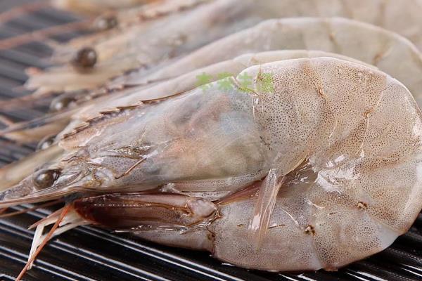 厄瓜多爾白蝦四大品牌,附營養價值及功效