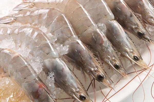 厄瓜多爾白蝦四大品牌,附營養價值及功效