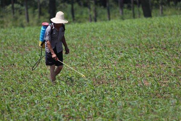 打農(nóng)藥溫度是多少較好，溫度高可以打農(nóng)藥嗎