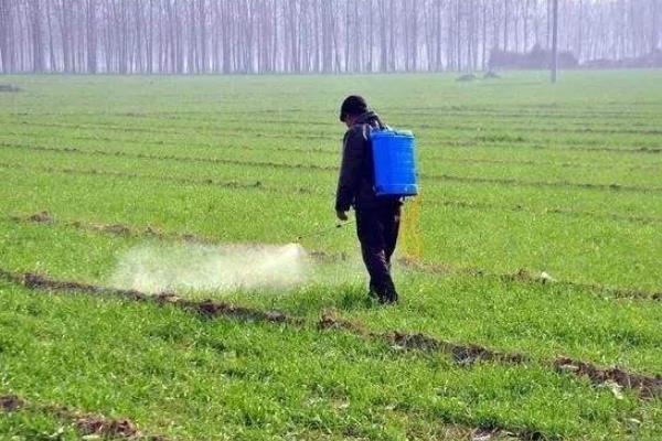 打農(nóng)藥溫度是多少較好，溫度高可以打農(nóng)藥嗎