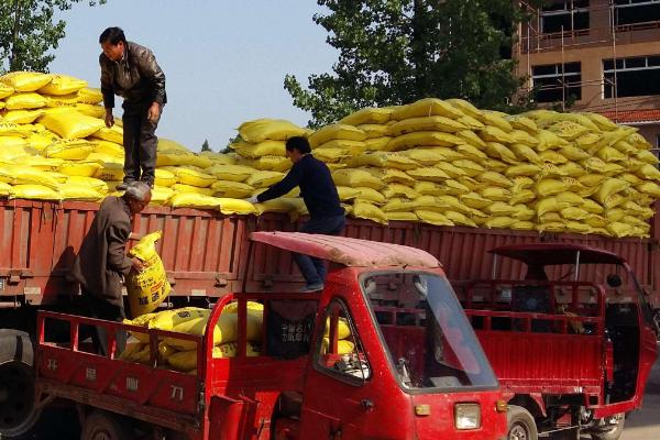 中國化肥銷量前十名