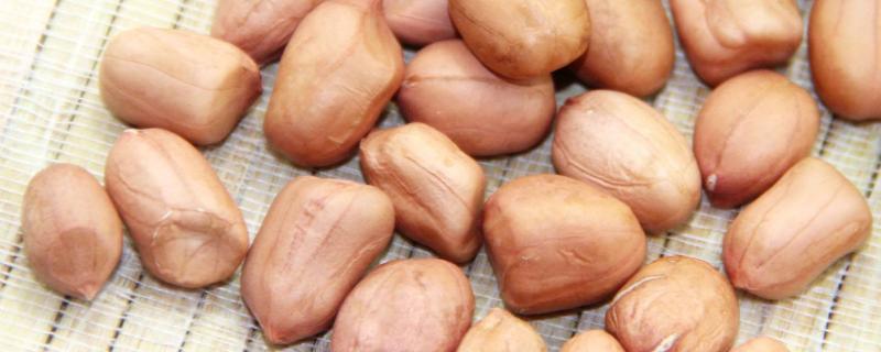 花生放了二年還能吃嗎，生芽了還能生吃嗎