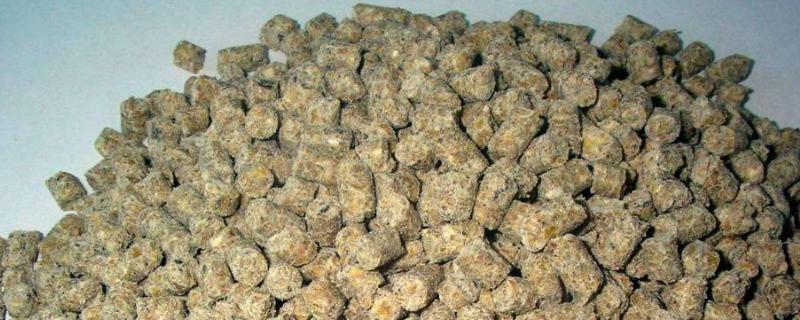 豬飼料品牌前五十名