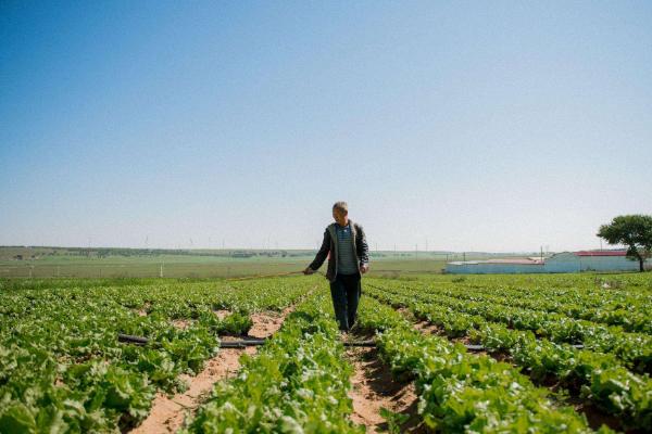 打農(nóng)藥溫度是多少較好，溫度高可以打農(nóng)藥嗎