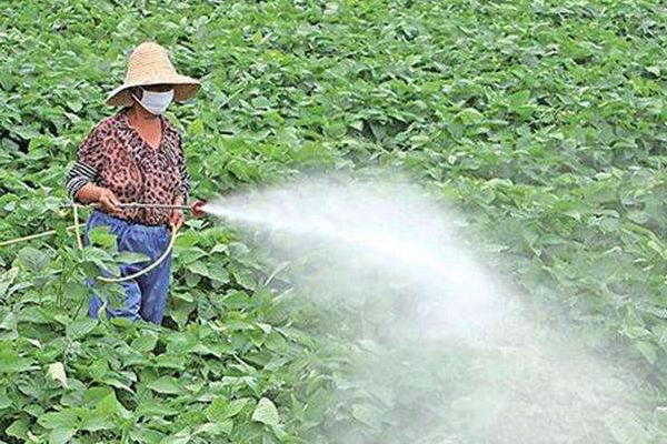 農藥品牌銷售前十名