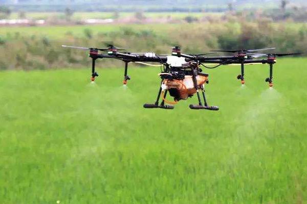 農藥品牌銷售前十名