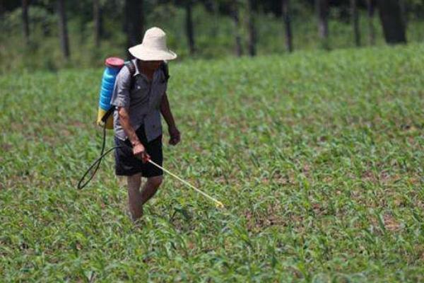 農藥品牌銷售前十名