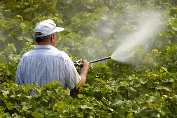 農藥品牌銷售前十名